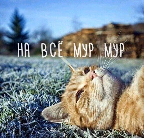 c72e63f6e723b8b62d565e03edbce7ce.jpg