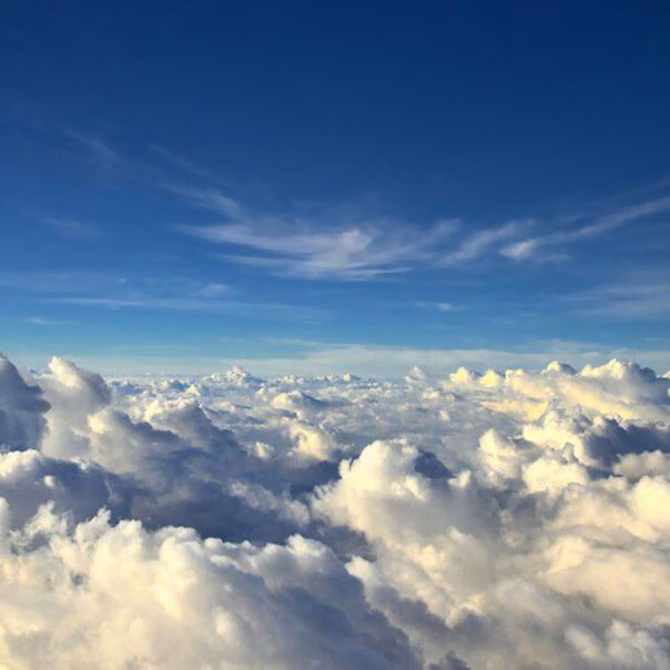 c733cfc7a52bc4b368e9c3f08fd2b41b.avif