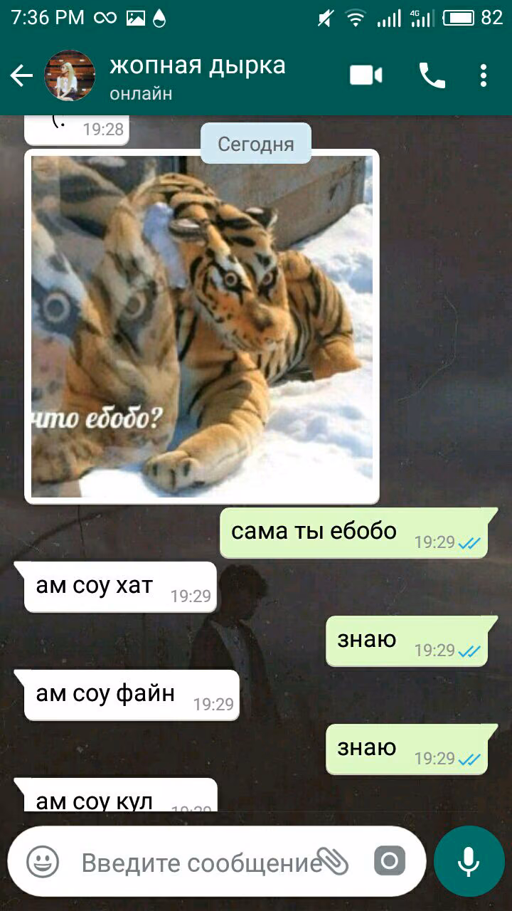 c73829109f0bcff4225f5127a484e092.jpg