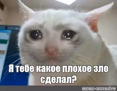 c75d3adf8fe9d313fc1d5f2c1472d1f1.jpg
