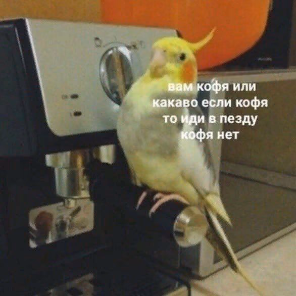 c768862e4e8880067d6bb664e486a382.jpg