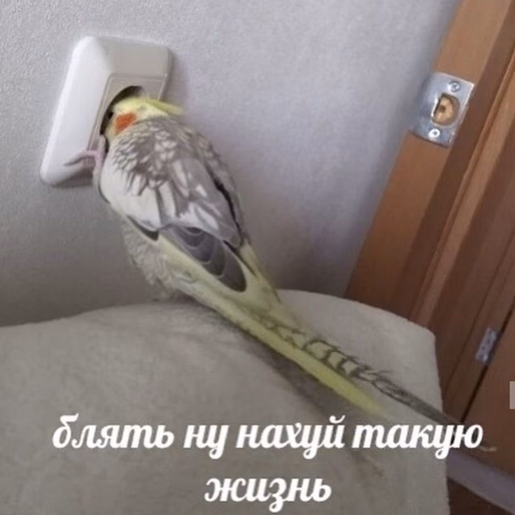 c769eaef1066d06d0cb117a6667095b3.avif