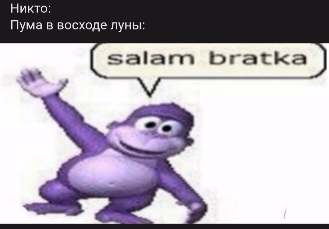 c791d7afdbde3bd47dfeb049f06e4ab8.avif
