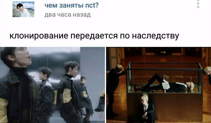 c79557e5e12b15972771ed3655dd1e95.avif