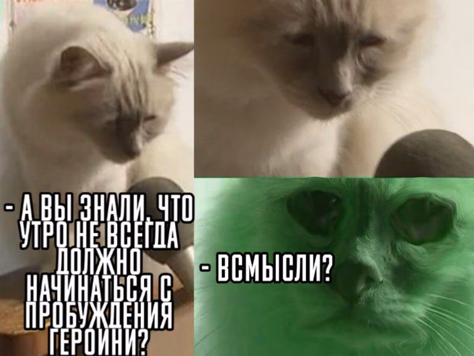 c799992a31c6c2c71fbc88d6061cbb44.jpg