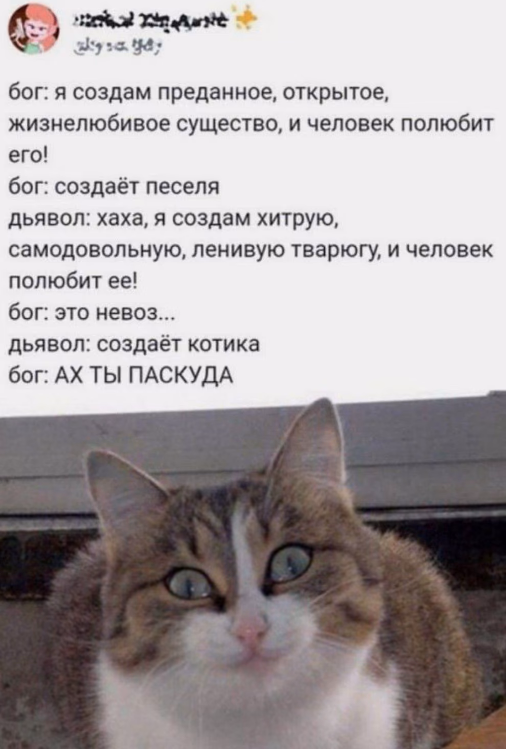 c79e21f5c9a7c5d6e31f67a7ac37d804.avif