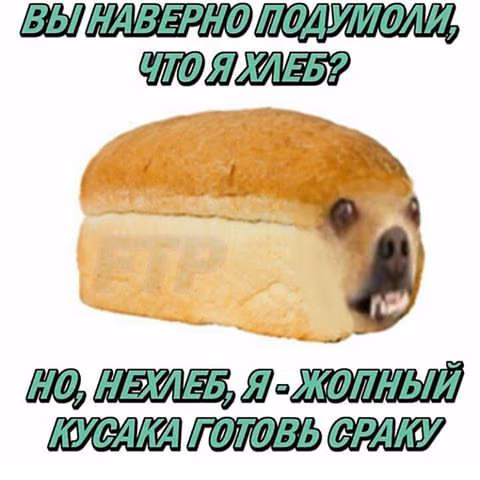 c7a40e64779c03713ae56bf099fbe52e.jpg