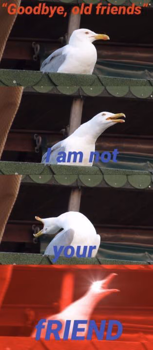 fed2caaa2f3c81ab9c3ccb21249b0c36.jpg