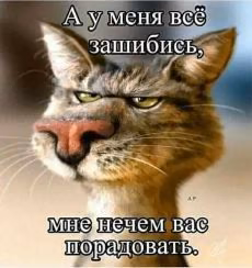 c7c5c7c5b1d7249a6de9d2e456e839d0.jpg
