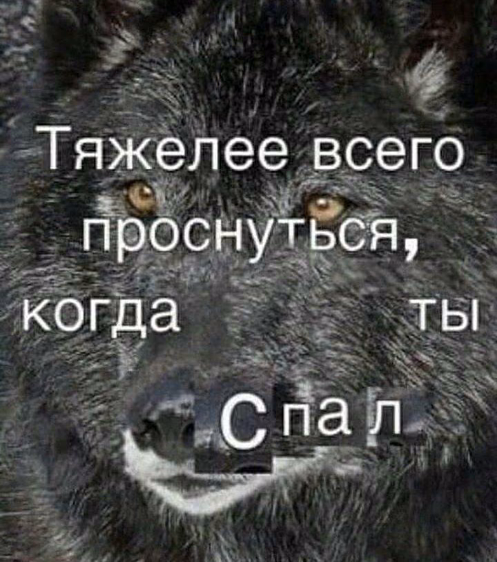 c7ca623d610047c340c2cd5bb9765a33.avif