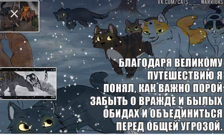c7f11c0566221f879d060b69cdba15ca.avif