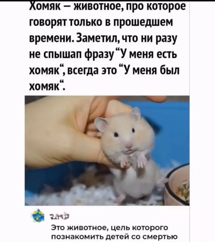 c7f5bdb13e9dfcdd0f51c376720a19f8.avif