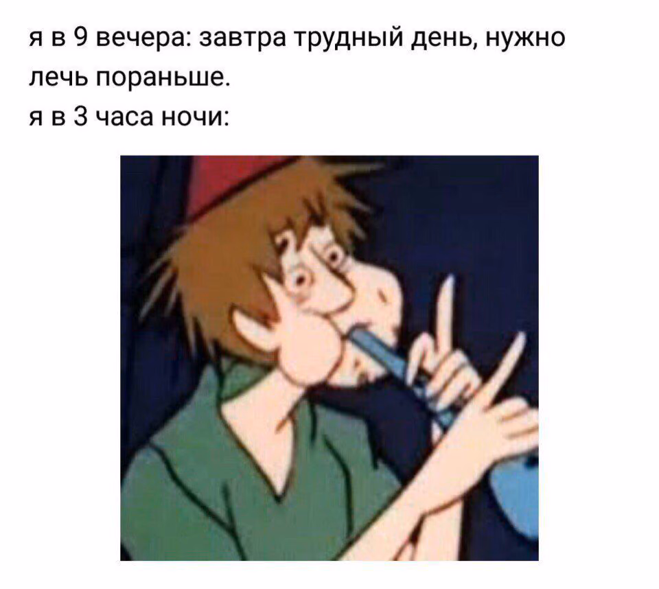 c8004ccc78aba7489267a3551c561403.avif