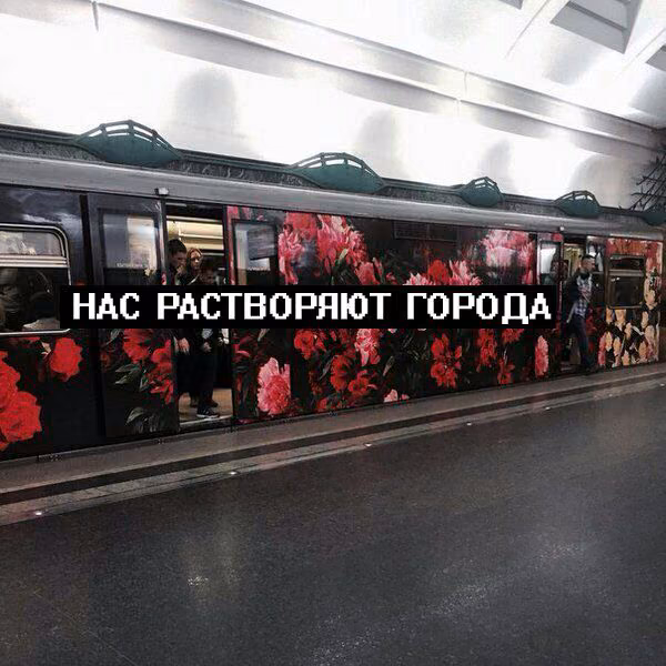 c833384f2ce2ae9df12b15e637ddce2e.jpg