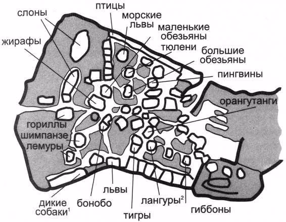 c8378c9f708f089ab4e489f7bb297118.avif