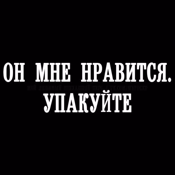 c8484a1b36464308489955ff7c9f4bd9.jpg
