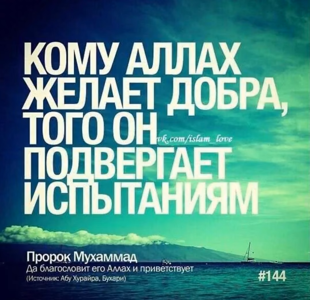 c848aa27bb8c89db69344813a38c6a92.avif
