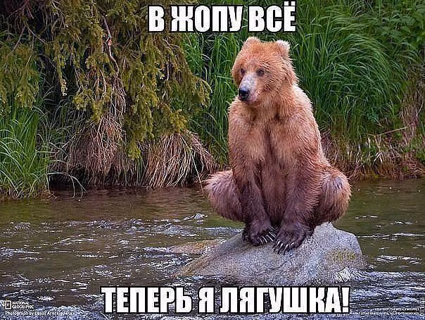 c85196333887e3bfcb7bf37661495ea2.avif