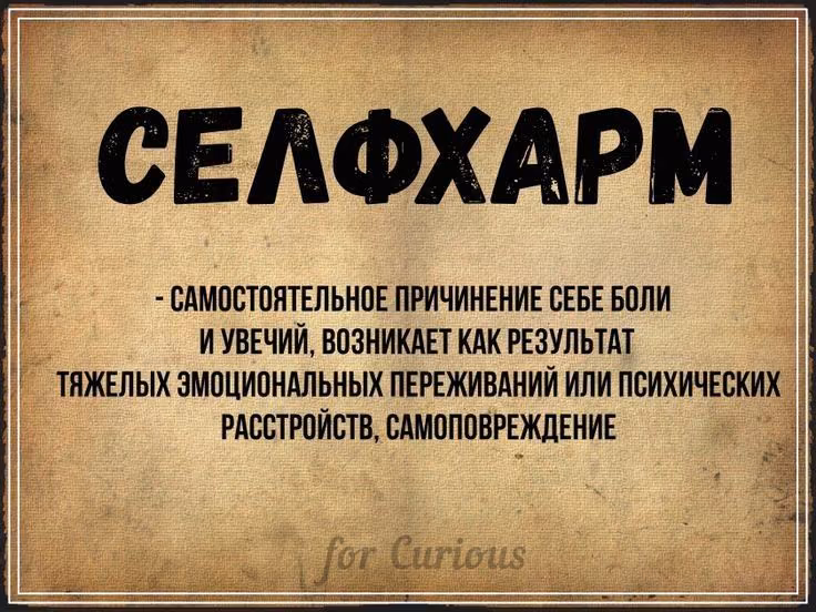 c852a0971a2a0ceb61e0ed6c5cb1d245.avif
