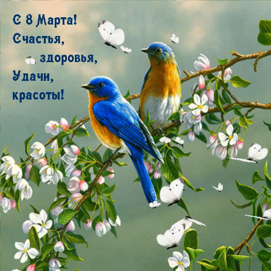 c86a87c8de821c539dc2b0ec635613d3.avif