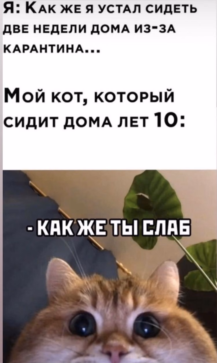 c8741a530ddab9f9b0dcd9bf7c3f47f8.jpg