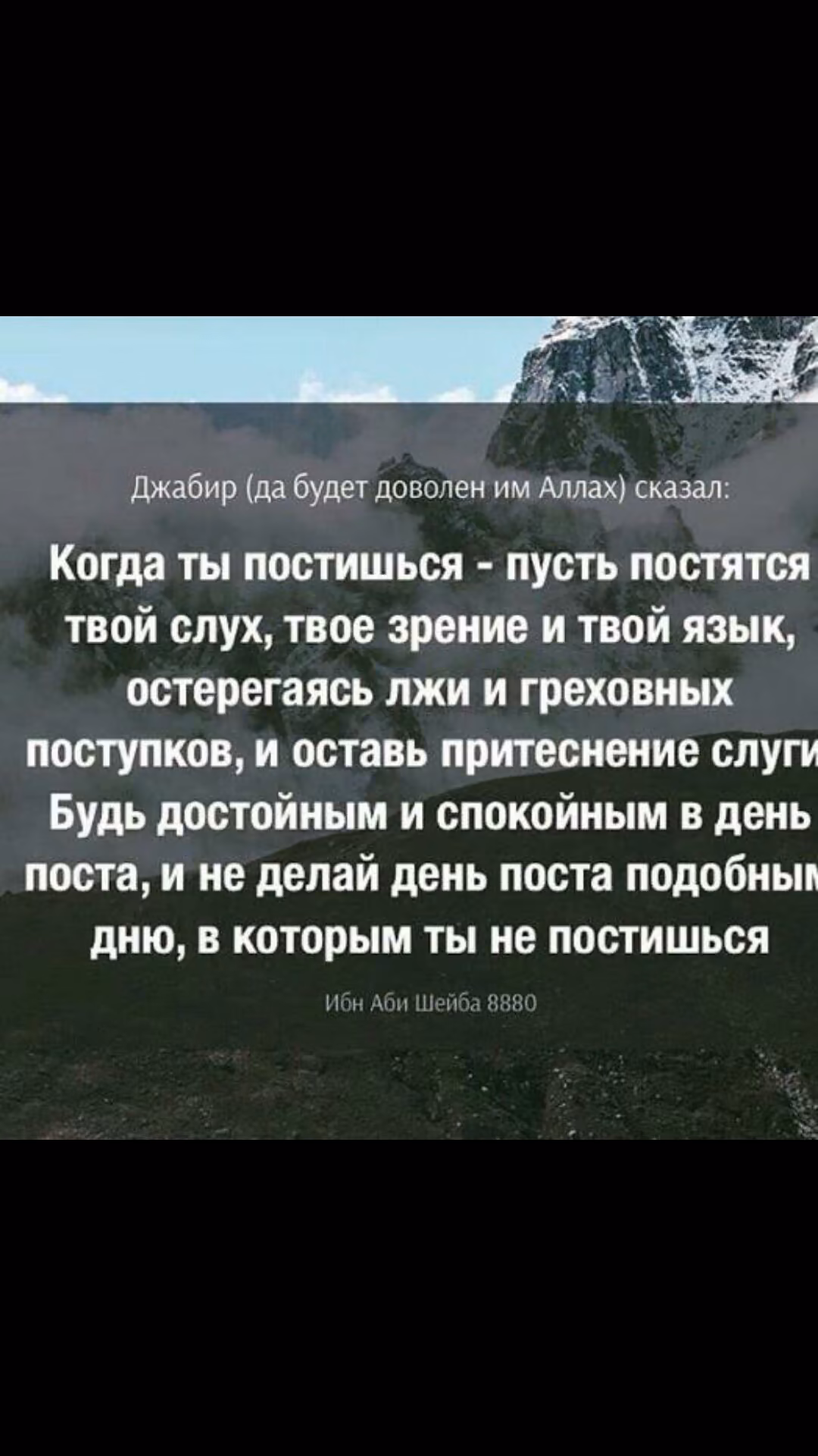 c87f5ee0a3421c9b4624c5c137028b0a.jpg