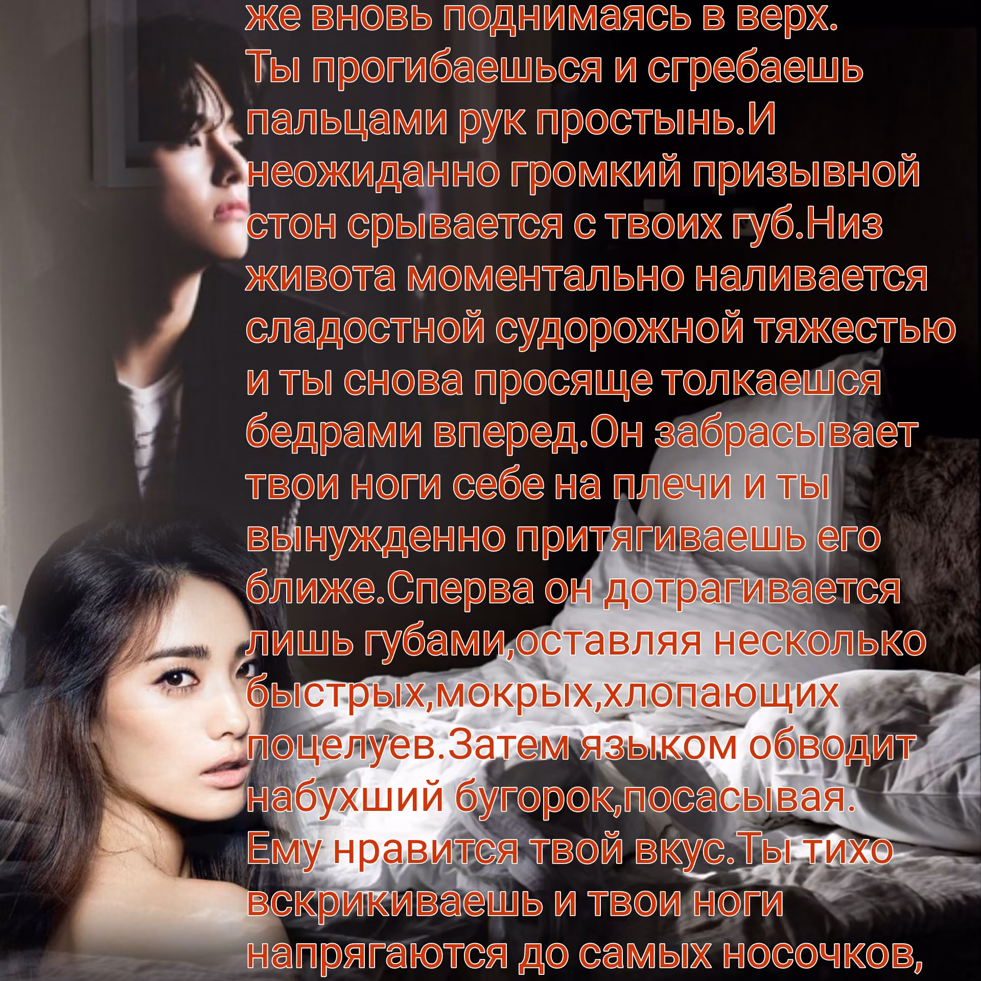 c889fbf3d3a484e78d5986ceb53d6557.avif