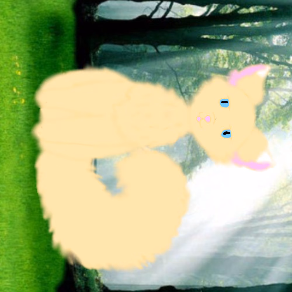 c88c13fdb1c3f0c2c81520eac860b904.jpg