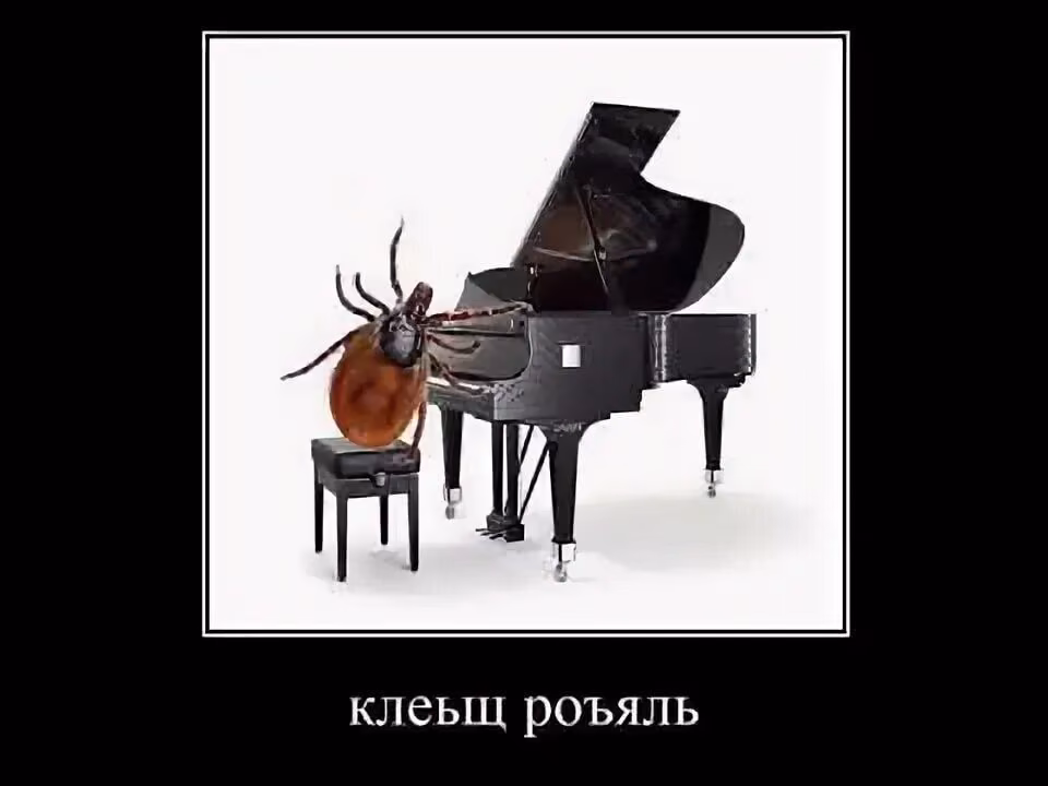 c8979bb4b1bfb18fbec929e0309ad3dc.jpg