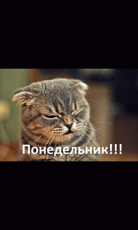 c8ab3f9c8f516c3e21b5e7a63679064d.avif