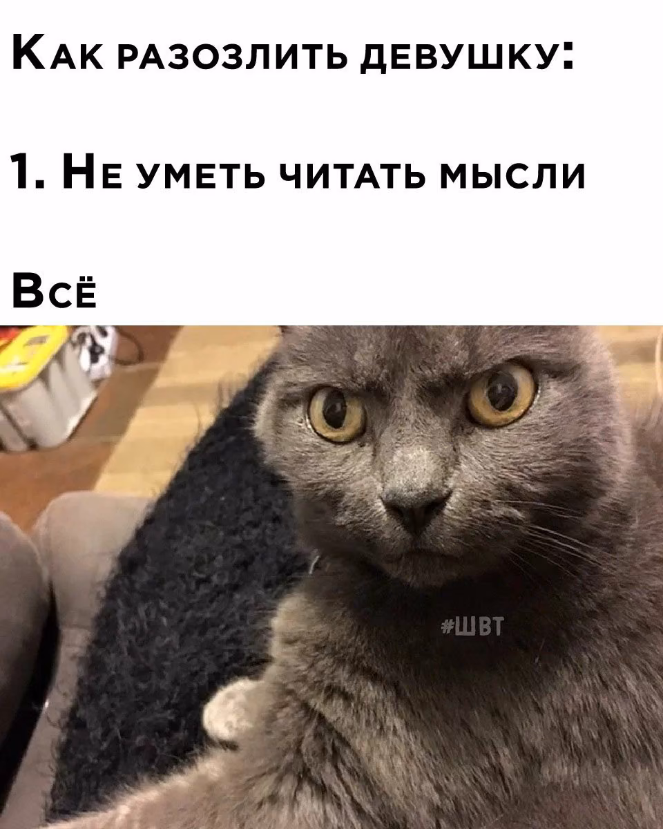 c8bf8d7a26a6a56262edf461aecbde0a.avif