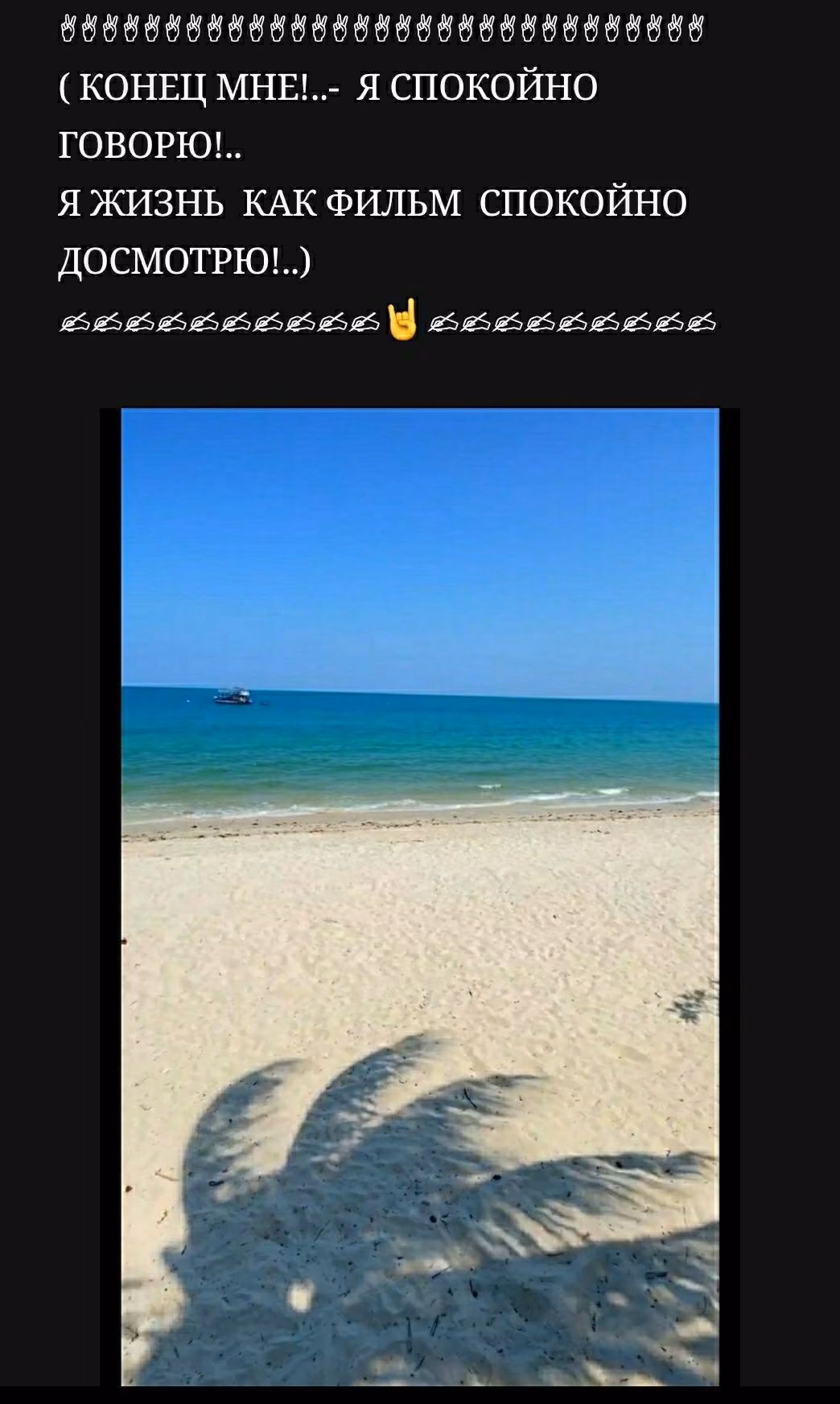 c8c06b6f2497eff94e5ac9915a2aedb6.avif