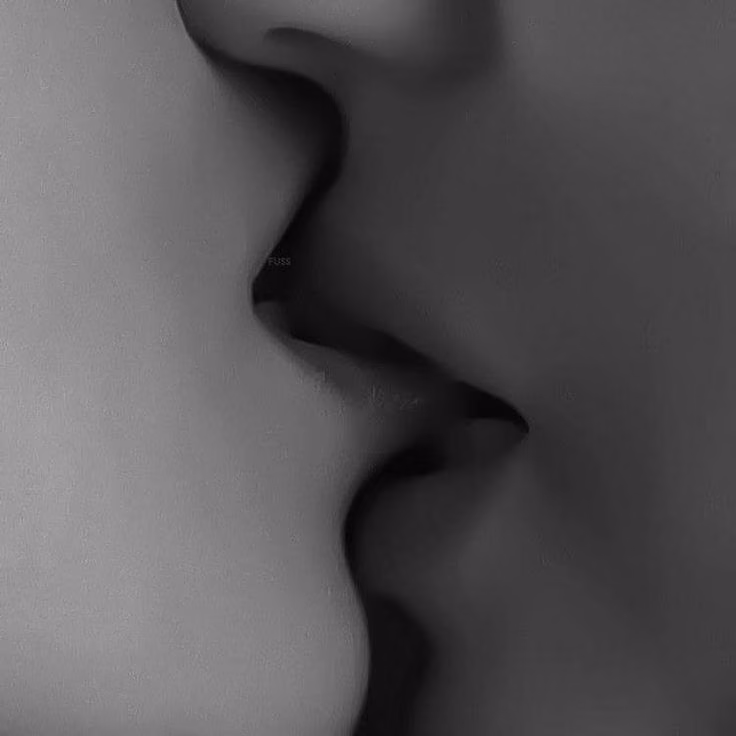 c8c3ec048efb0257f528e131b07d6de2.avif