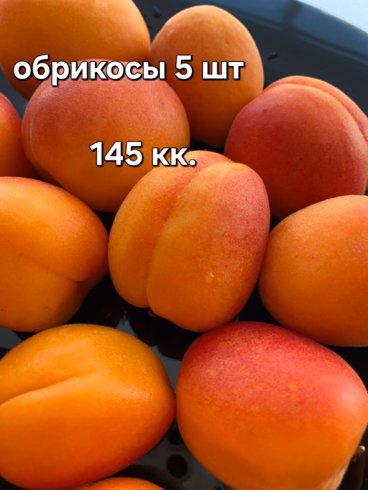 c8c699fb8998d9b5b5870af3bc480584.avif