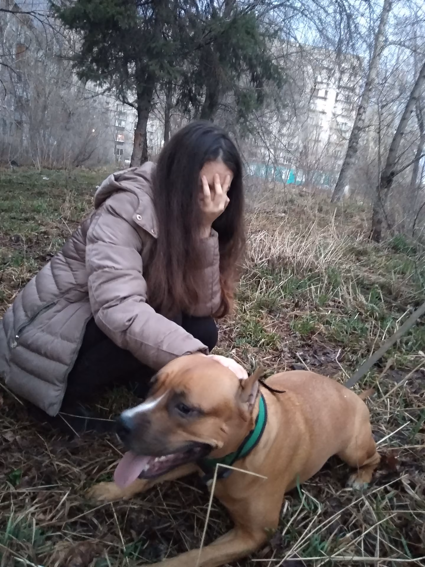 c8d2ba1a523870742330dc40982be2c3.jpg