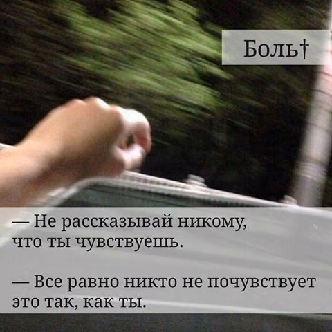 c8d8b0c330945ea1727eb764973f1355.jpg