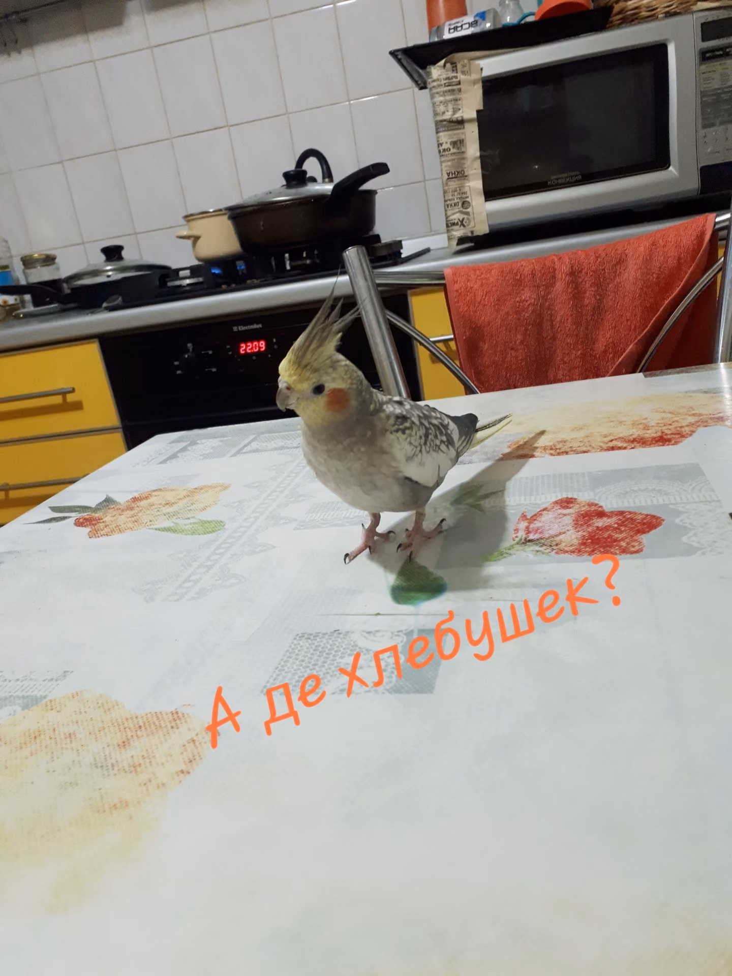 c8eb65d4edf7357df8fb395bc666e5ef.jpg