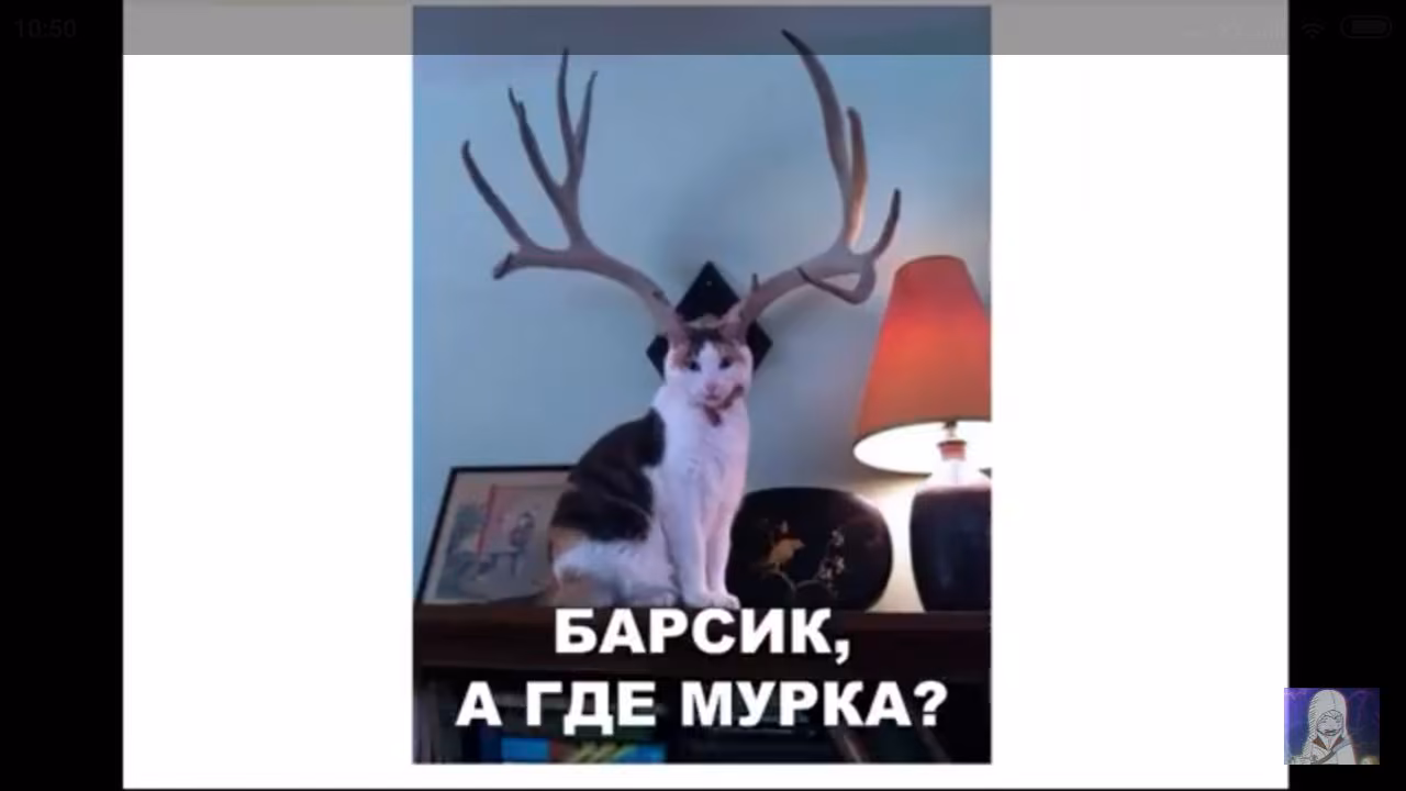 c8f86e9ad6e8d33ec79dcd62cee1cf93.jpg