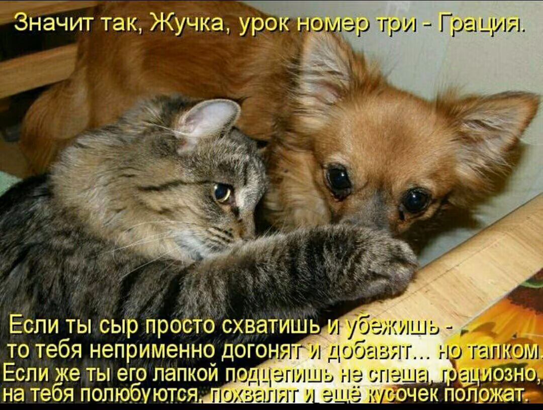 c9043ba5748e8cd599ffe7b1e15204c0.jpg