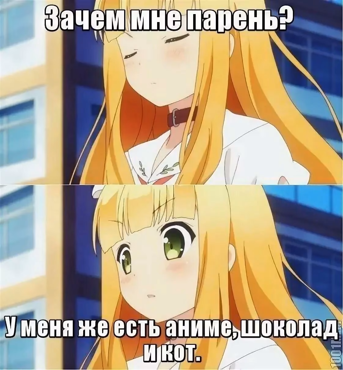 c90480efcfde5c860502b7ca29b76cea.avif