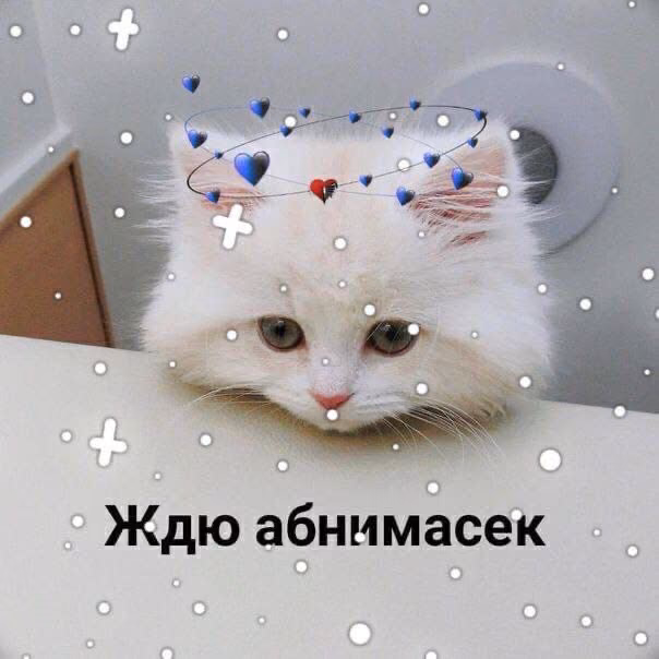 c90721d39e2ac5f3ddc12548730a7575.avif
