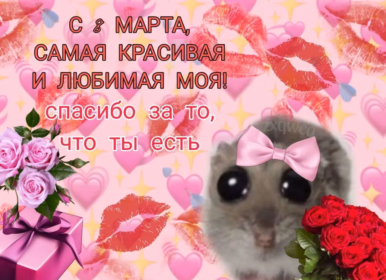 c916e394d5e15c00ccd37f9020e9390c.avif