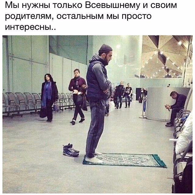 c919eea5667352e625a504194ba4d8b9.jpg