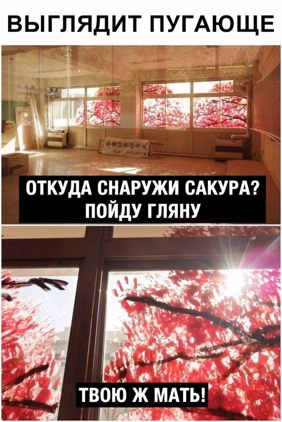 c91b1c63e9ff4f9f61bb7a517d0864bd.jpg