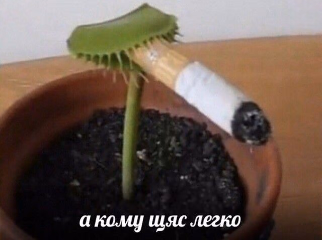 c91b881ca8c0c98c75d75cce9db4a3bc.avif