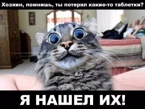 c92eb2b09aa8da9d5d1201c412b1b4fc.jpg