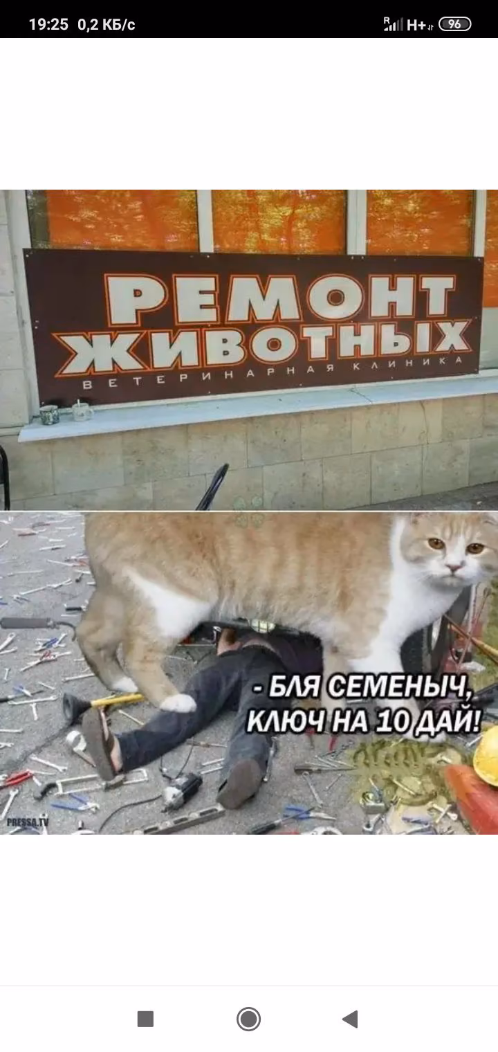 c95029c01b394858f58bd5e10e21a77f.avif