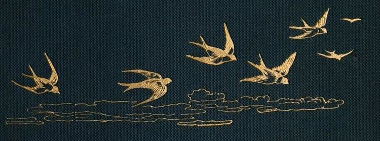c957e7dcf9a133e42832512499d0dcad.avif