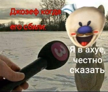 c95f886be933e7586c263368694ae3a5.avif