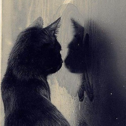 c9731106474ac16946e7f0af019769ec.jpg